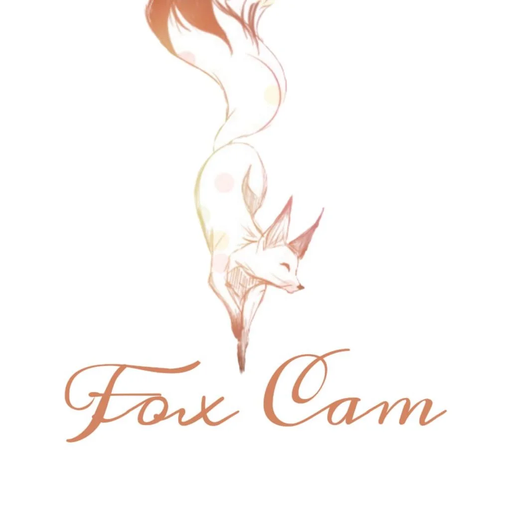 Вебкам студия Fox Cam