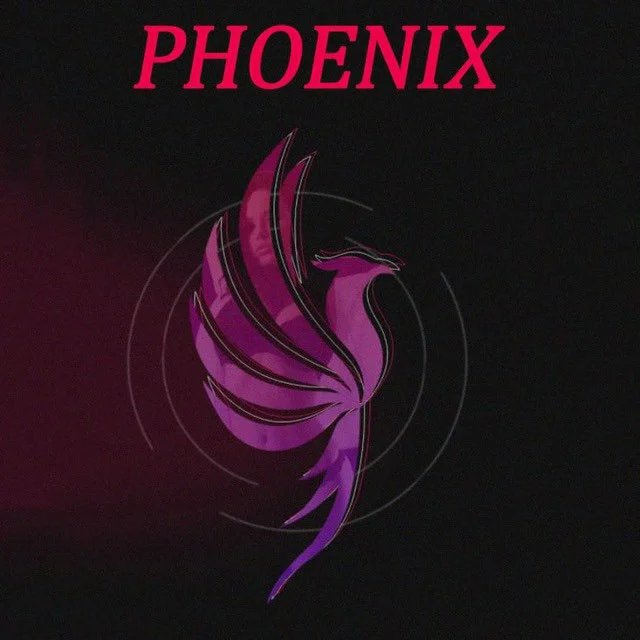 Вебкам студия PHOENIX