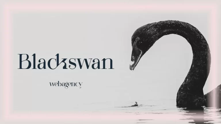 Вебкам студия Blackswan